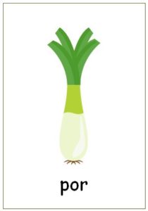 warzywa karty obrazkowe